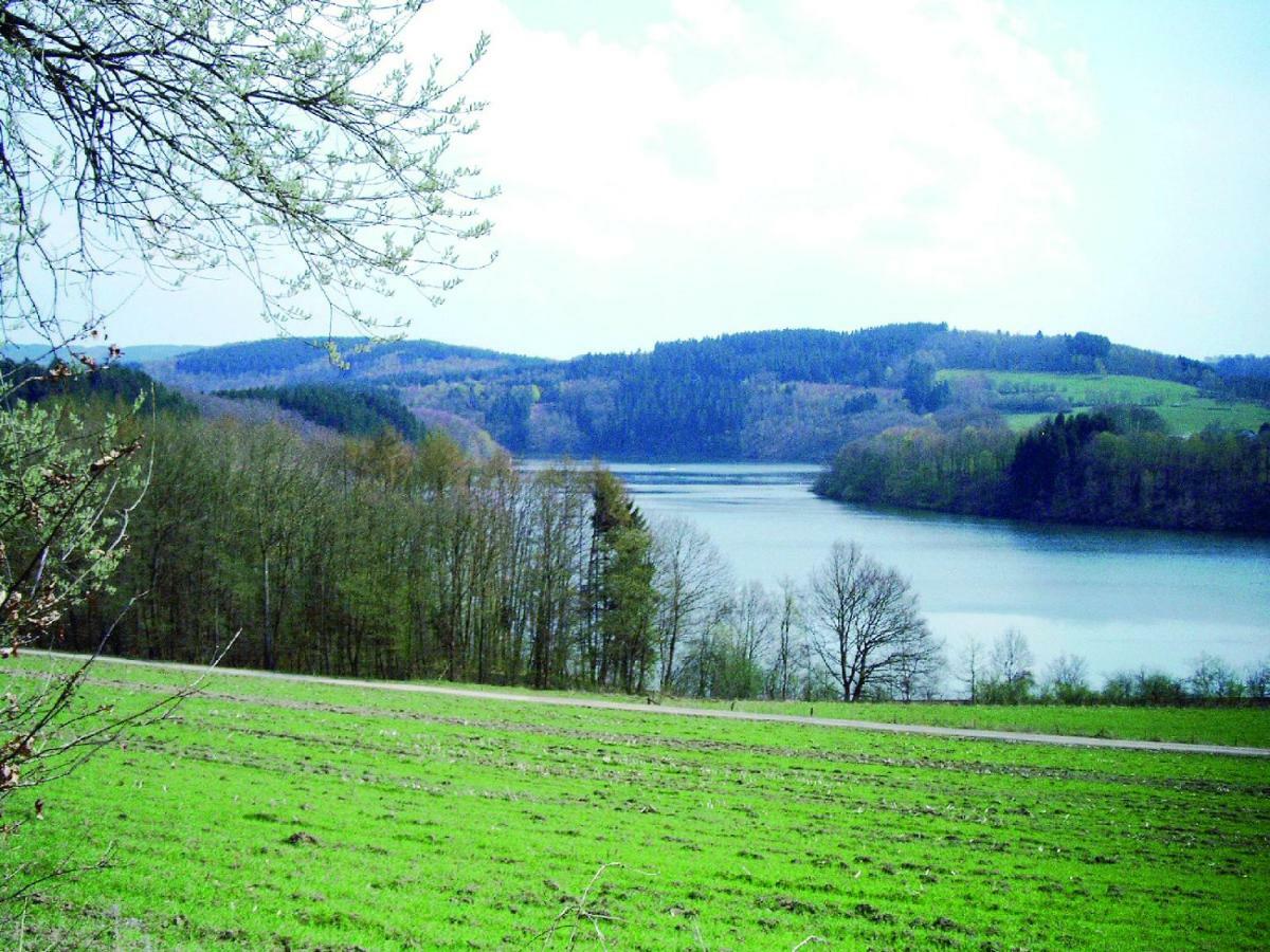 Ferienwohnung Am Sorpesee Allendorf  Esterno foto