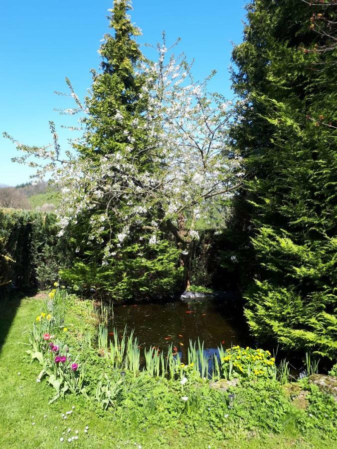 Ferienwohnung Am Sorpesee Allendorf  Esterno foto